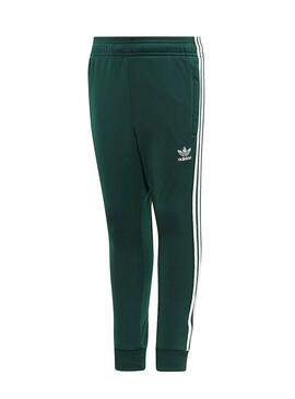 Trainingsanzug Adidas Superstar Grün Junge