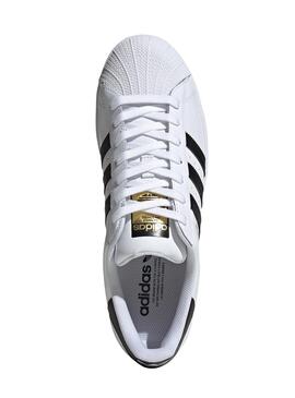 Sneaker Adidas Superstar Weiß Für Herren