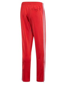 Hosen Adidas Firebird TP Rot Für Herren