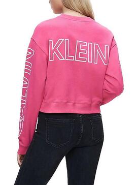 Sweatshirt Calvin Klein Blocking Pink Logo Damen