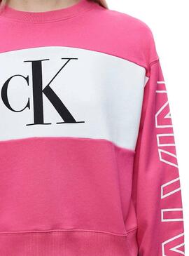 Sweatshirt Calvin Klein Blocking Pink Logo Damen