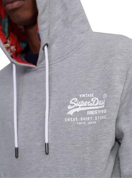 Sweatshirt Superdry Super 5 Hood Graue Man