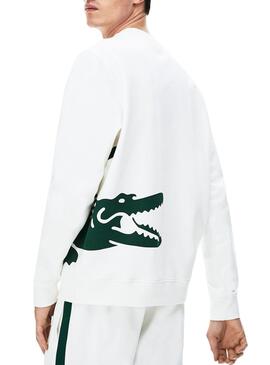 Sweatshirt Lacoste Maxi Logo Weiss für Herren