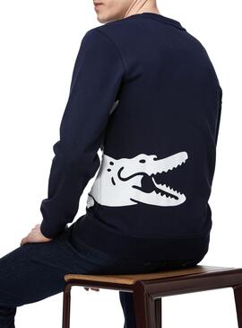 Sweatshirt Lacoste Maxi Logo Blau für Herren