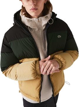 Jacke Lacoste Puffy Beige für Herren