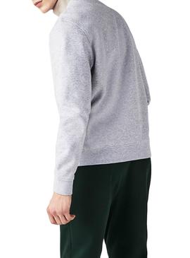 Sweatshirt Lacoste Basic Grau für Herren