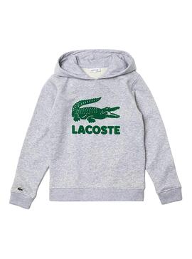 Sweatshirt Lacoste mit Kapuze und Logo Grau Junge